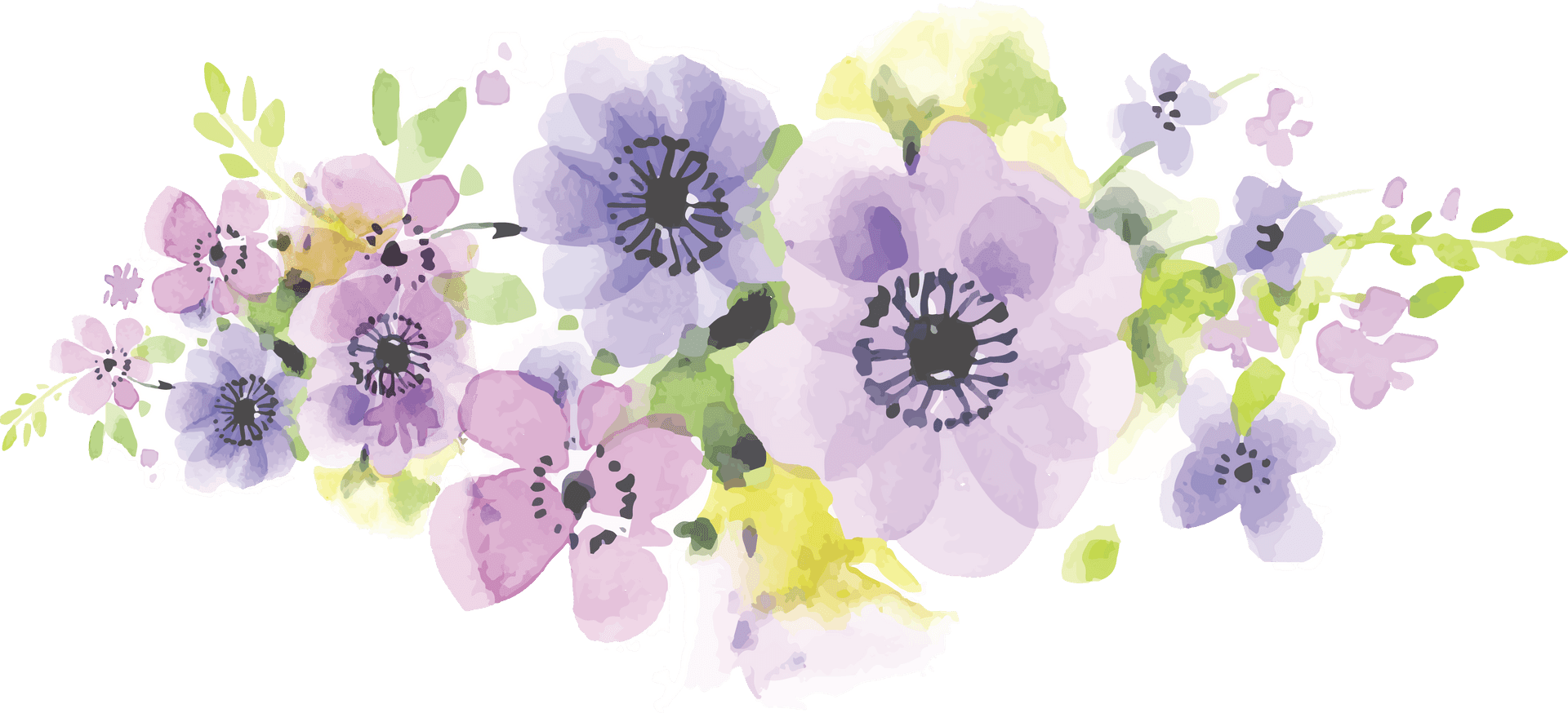 Watercolor_ Purple_ Flowers_ Artwork PNG Image