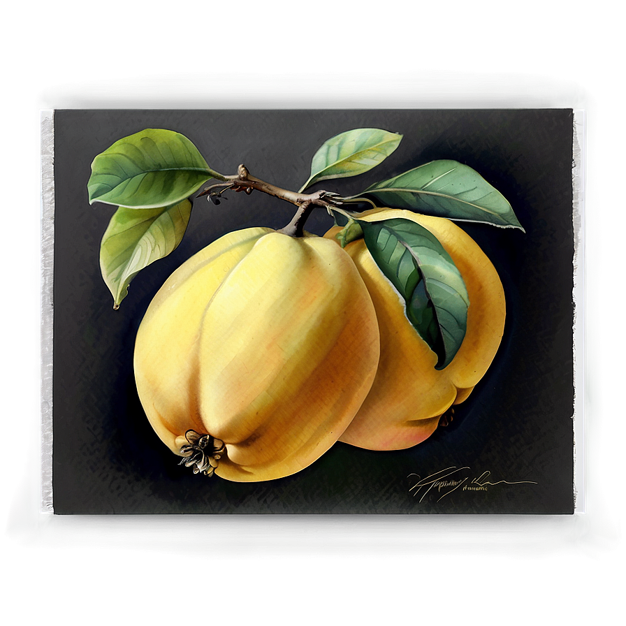 Watercolor Quince Painting Png Ysd PNG Image