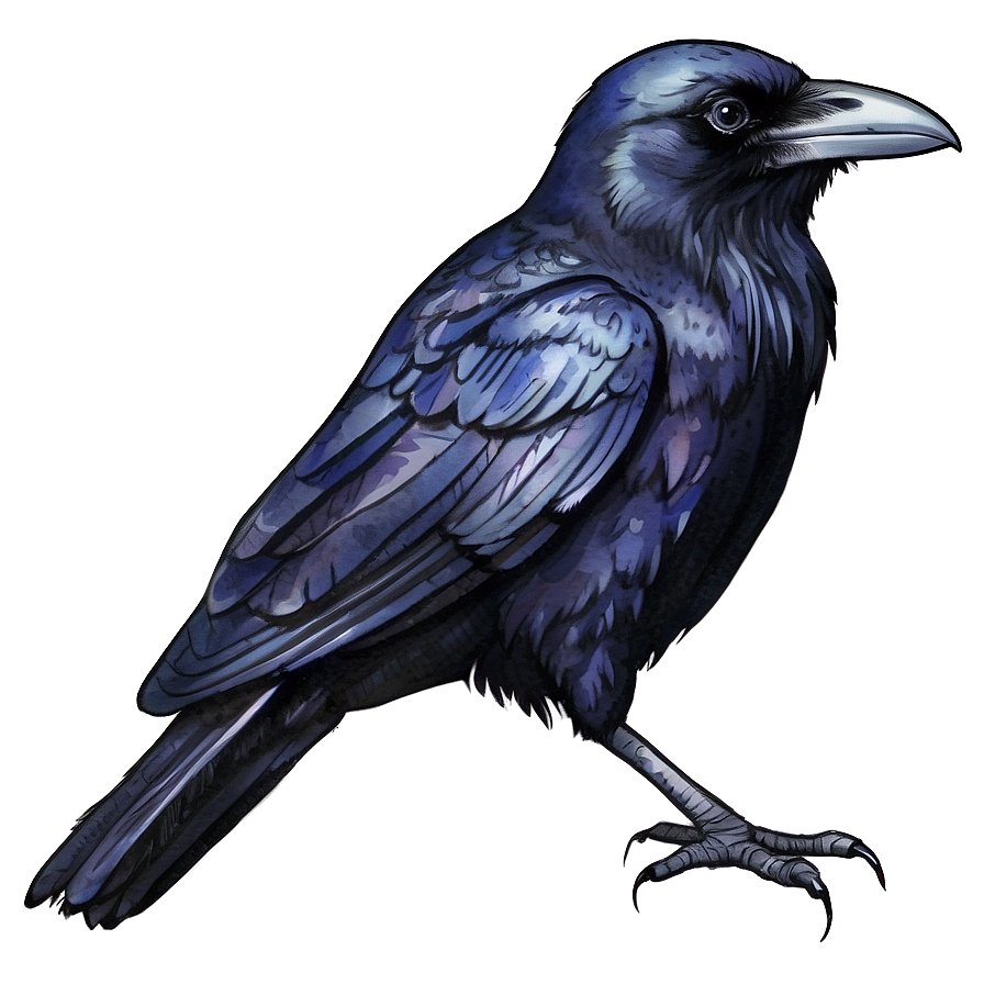 Watercolor Raven Png 77 PNG Image