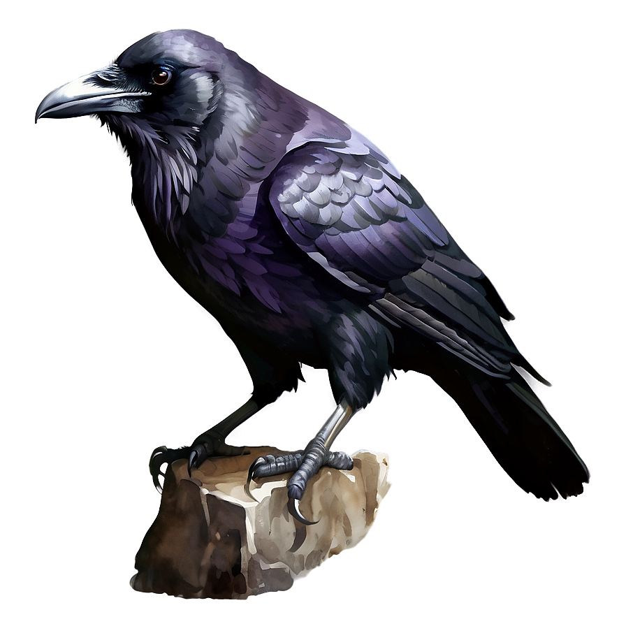 Watercolor Raven Png 97 PNG Image