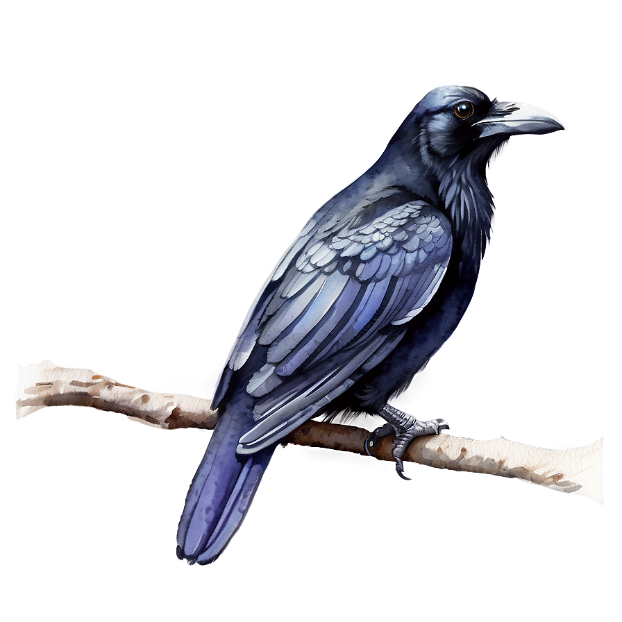 Watercolor Raven Png Mex62 PNG Image