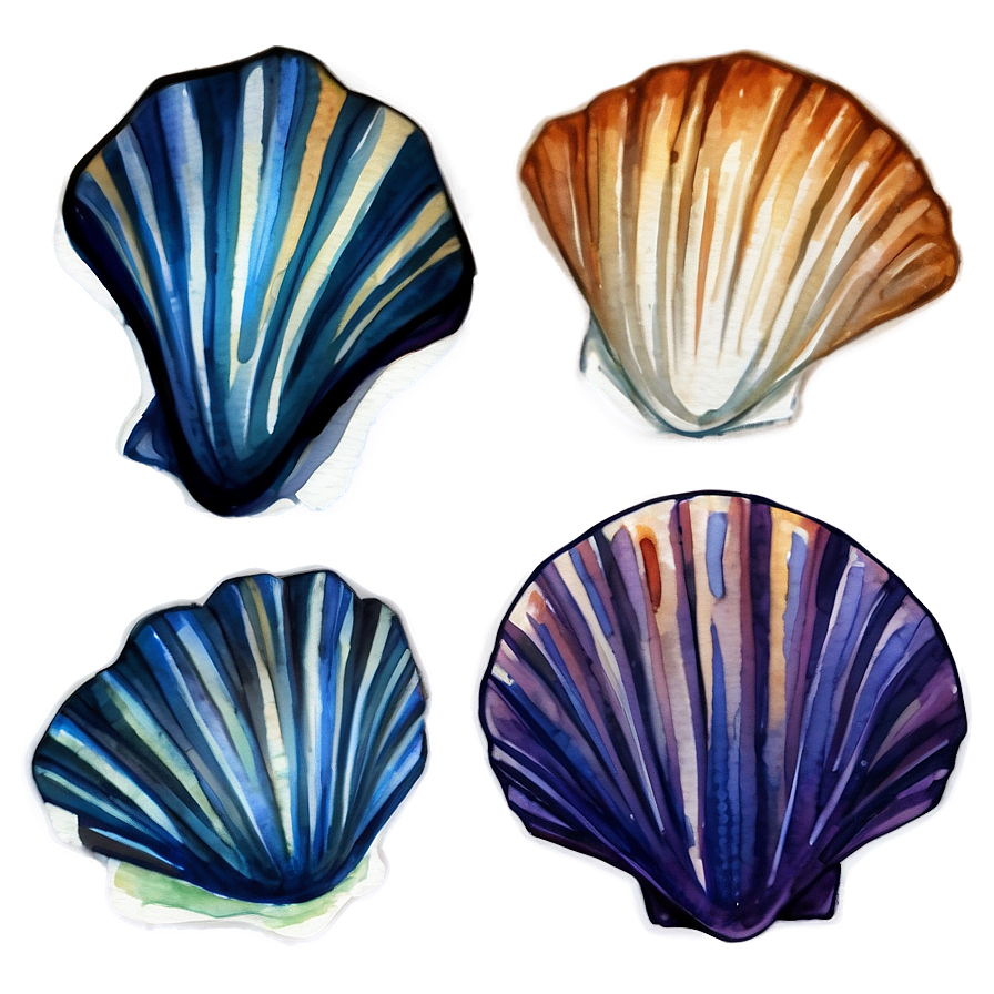 Watercolor Seashell Clipart Png 06262024 PNG Image