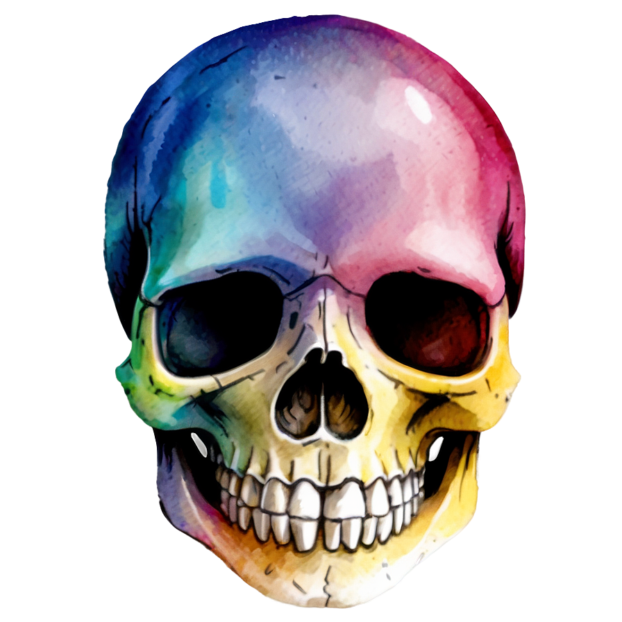 Watercolor Skull Painting Png D PNG Image