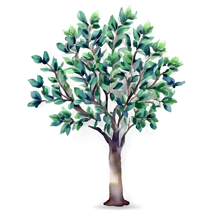 Watercolor Small Tree Png 06132024 PNG Image