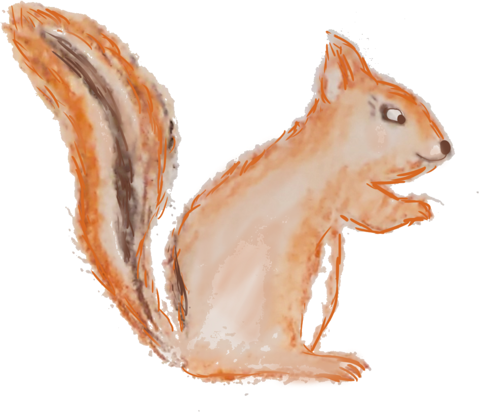 Watercolor Squirrel Artwork PNG Image