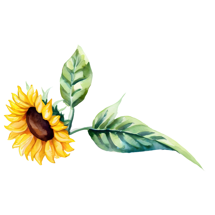 Watercolor Sunflower Transparent Png Cpi49 PNG Image