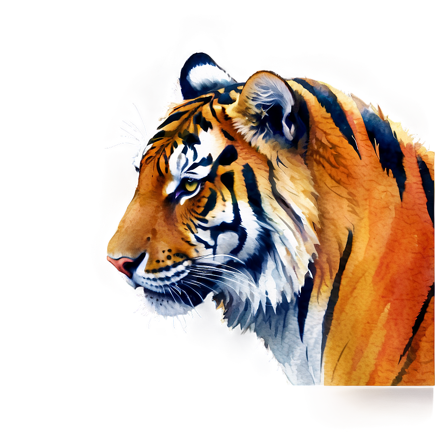 Watercolor Tiger Png 68 PNG Image