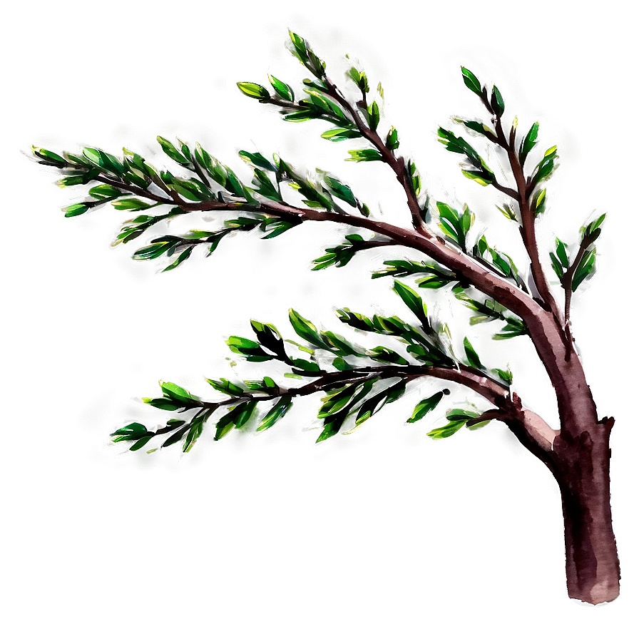 Watercolor Tree Branch Png Mab PNG Image