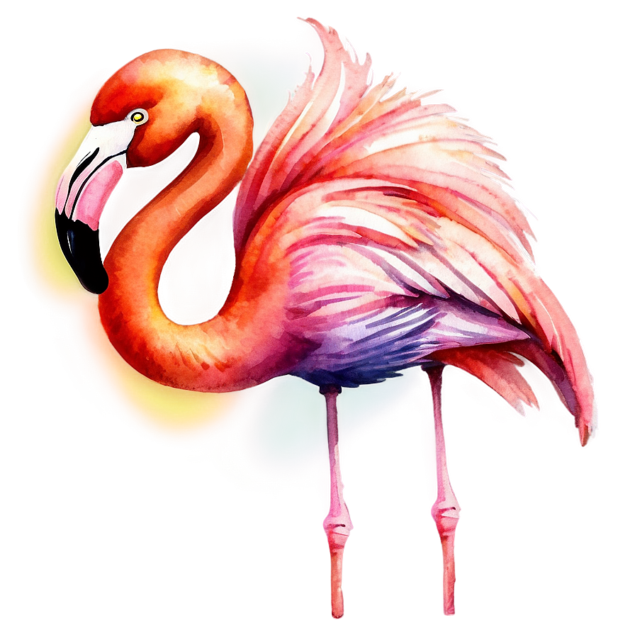 Watercolor Tropical Flamingo Png 06272024 PNG Image