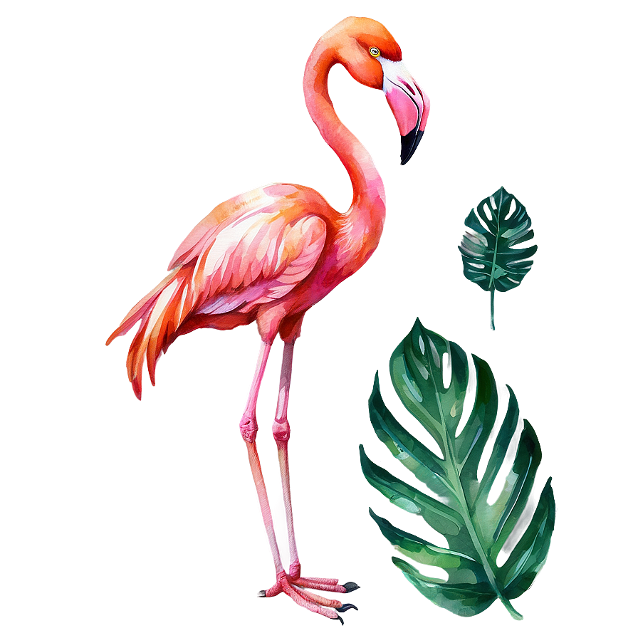 Watercolor Tropical Flamingo Png Ohn PNG Image