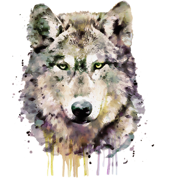 Watercolor Wolf Portrait PNG Image