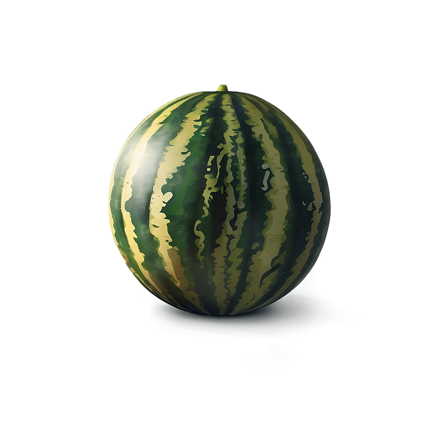 Watermelon Party Png 05232024 PNG Image