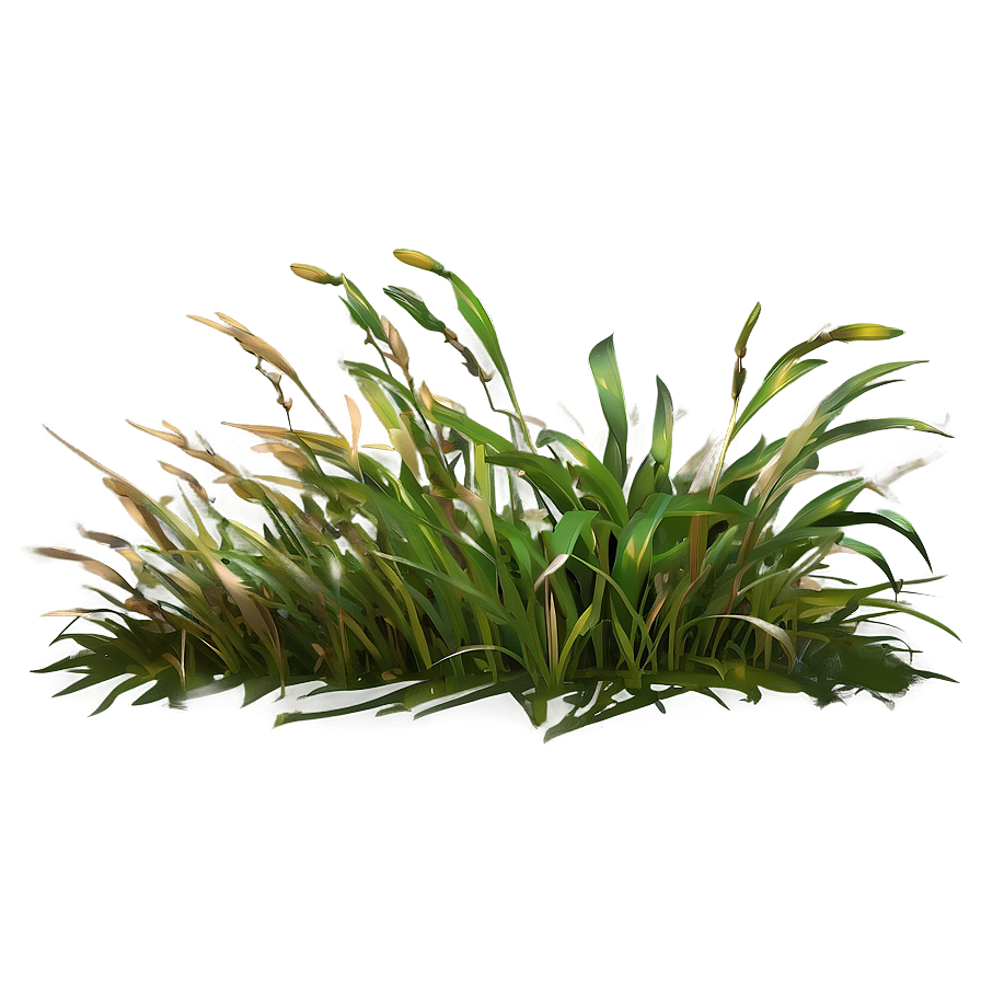 Weathered Grass Png Juq PNG Image