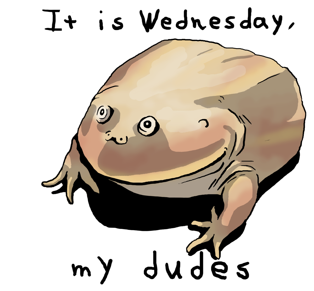 Wednesday Frog Meme PNG Image