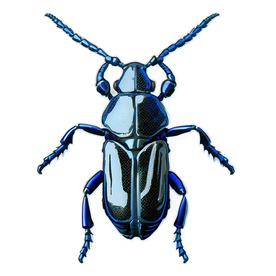 Weevil Anatomy Study Png 06292024 PNG Image