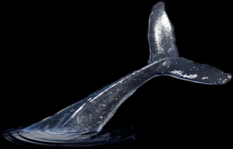 Whale Tail Emerging From Water PNG Image