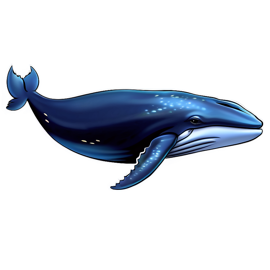 Whale Underwater Png 81 PNG Image