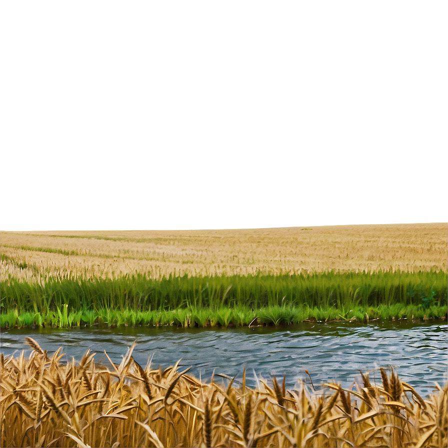 Wheat Field And River Landscape Png 46 PNG Image