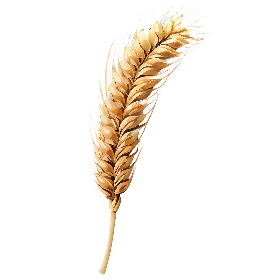 Wheat Silhouette At Dusk Png Ree22 PNG Image