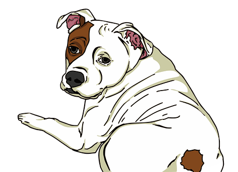 White Brown Dog Illustration PNG Image