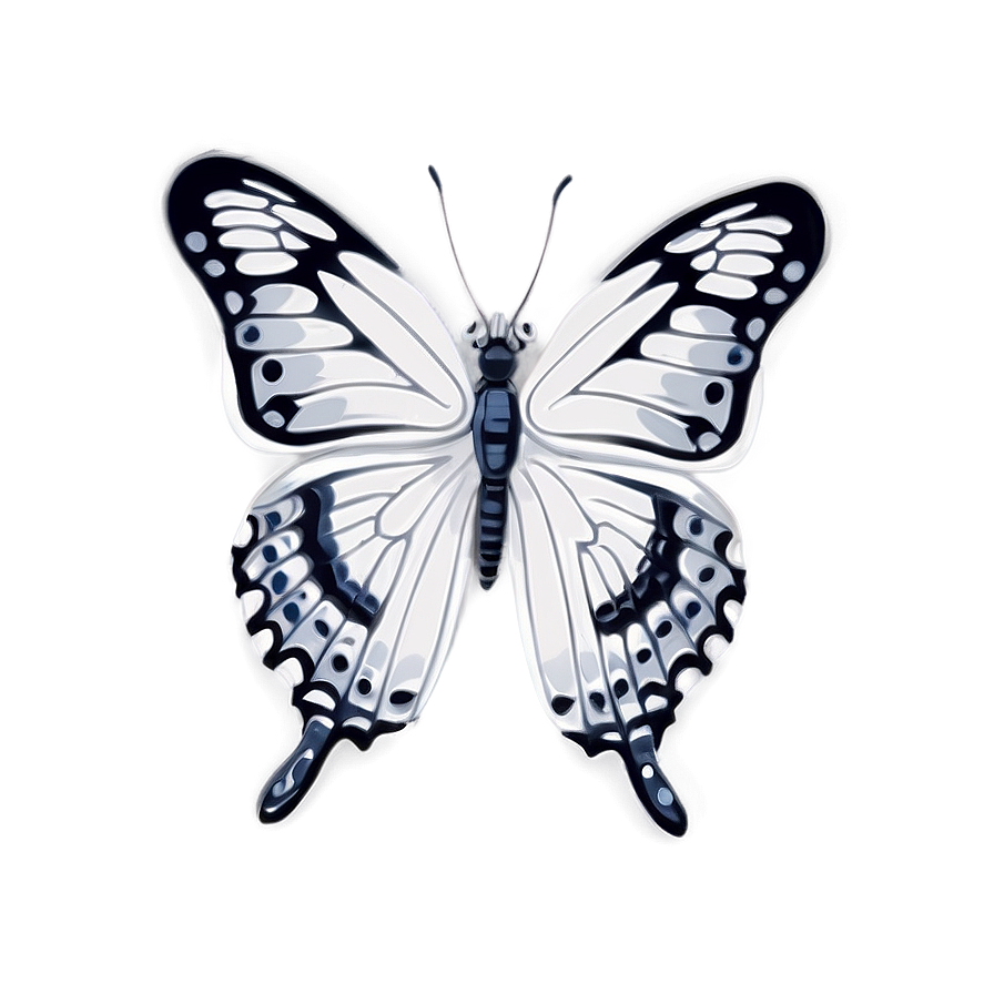 White Butterfly Drawing Png Lif81 PNG Image