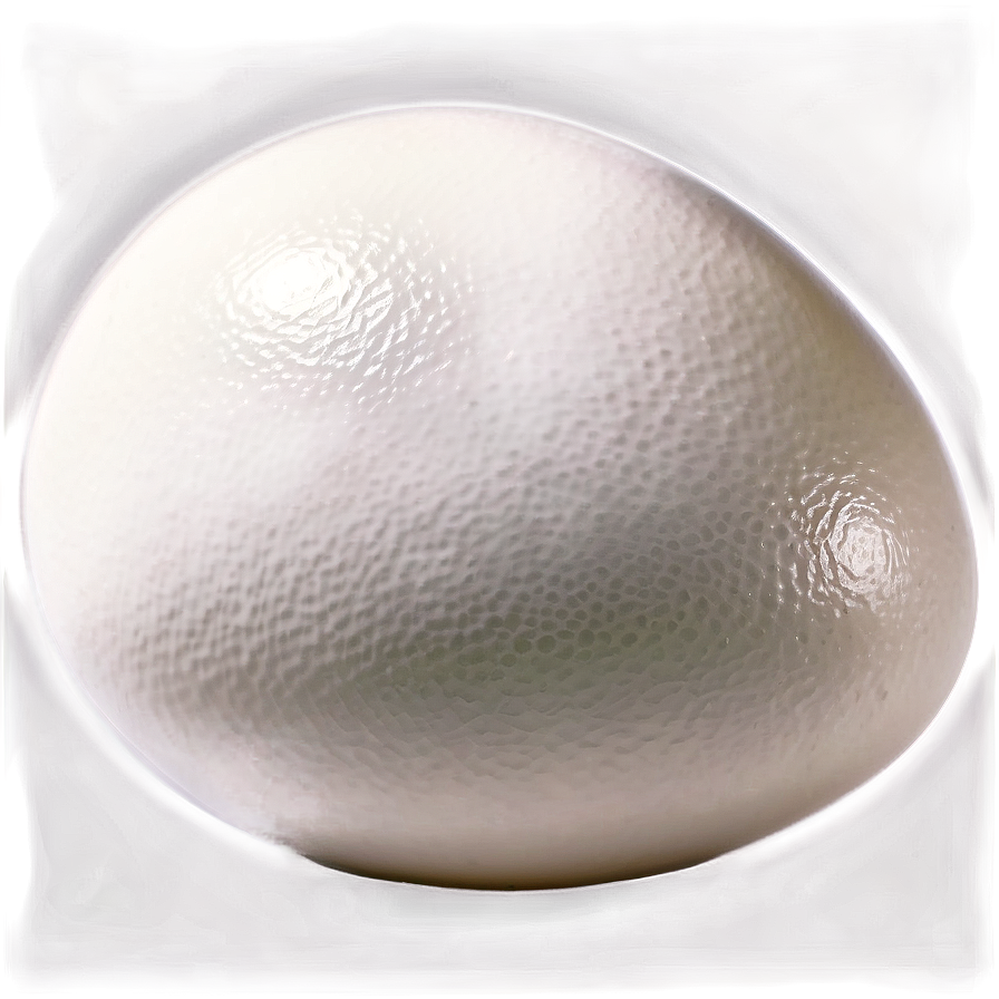 White Chicken Egg Png 6 PNG Image