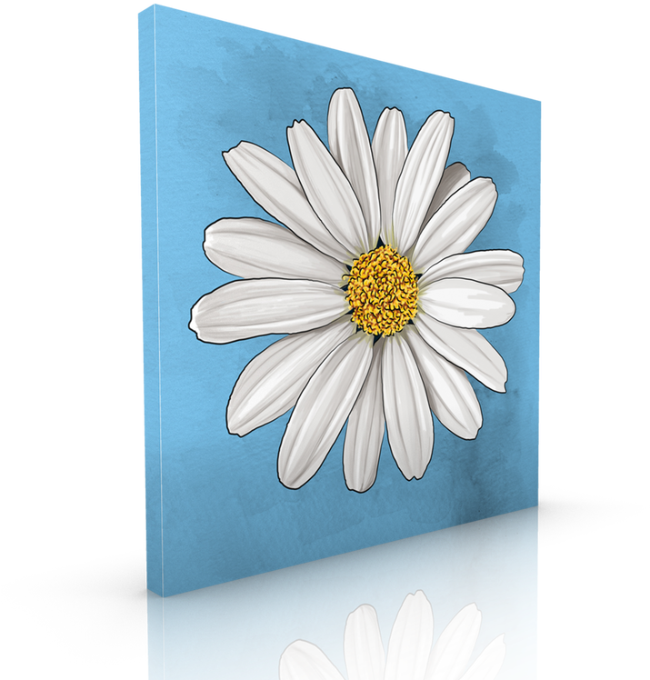 White Daisy Blue Background Art PNG Image