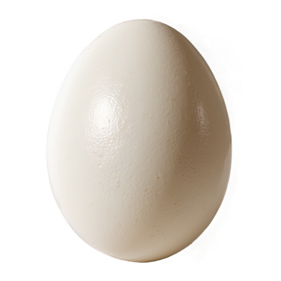 White Egg C PNG Image