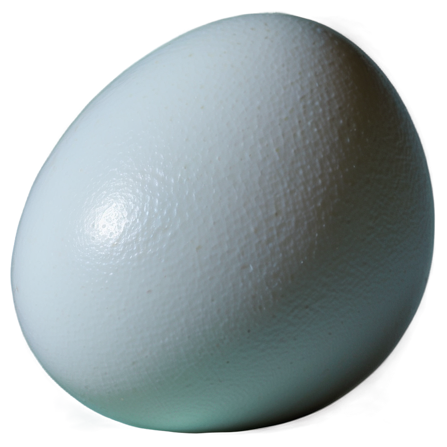 White Egg Nutritional Value Png 06292024 PNG Image