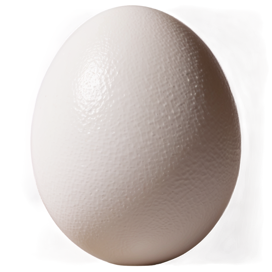 White Egg Stock Image Png 06292024 PNG Image