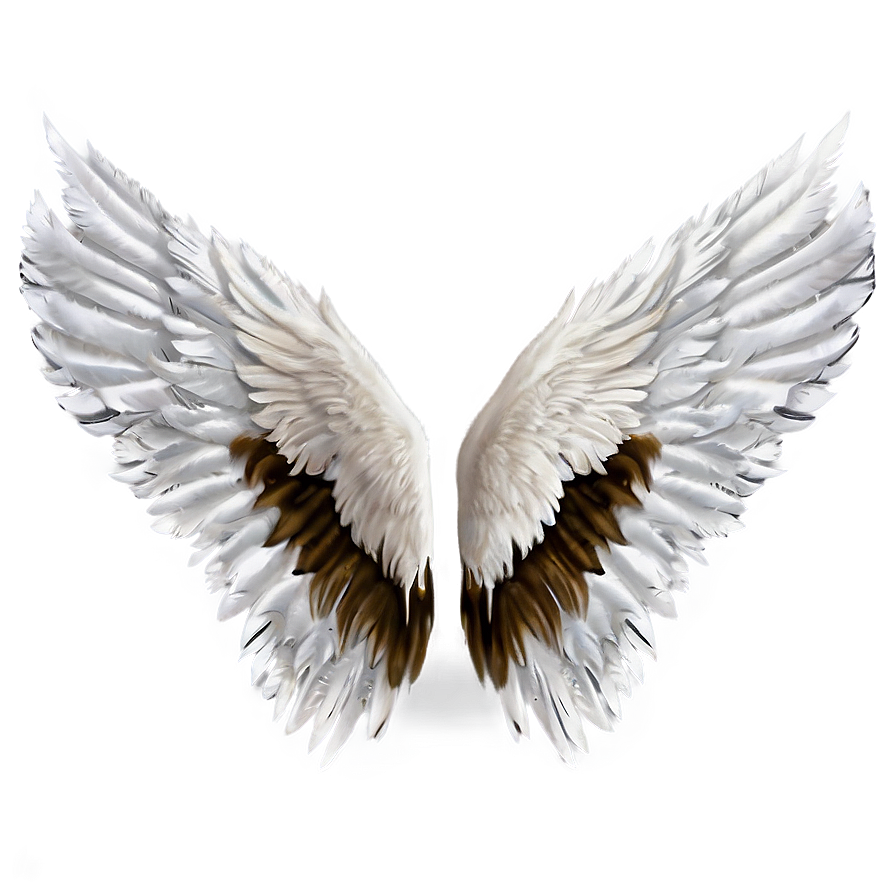 White Feather Wings Png 06262024 PNG Image