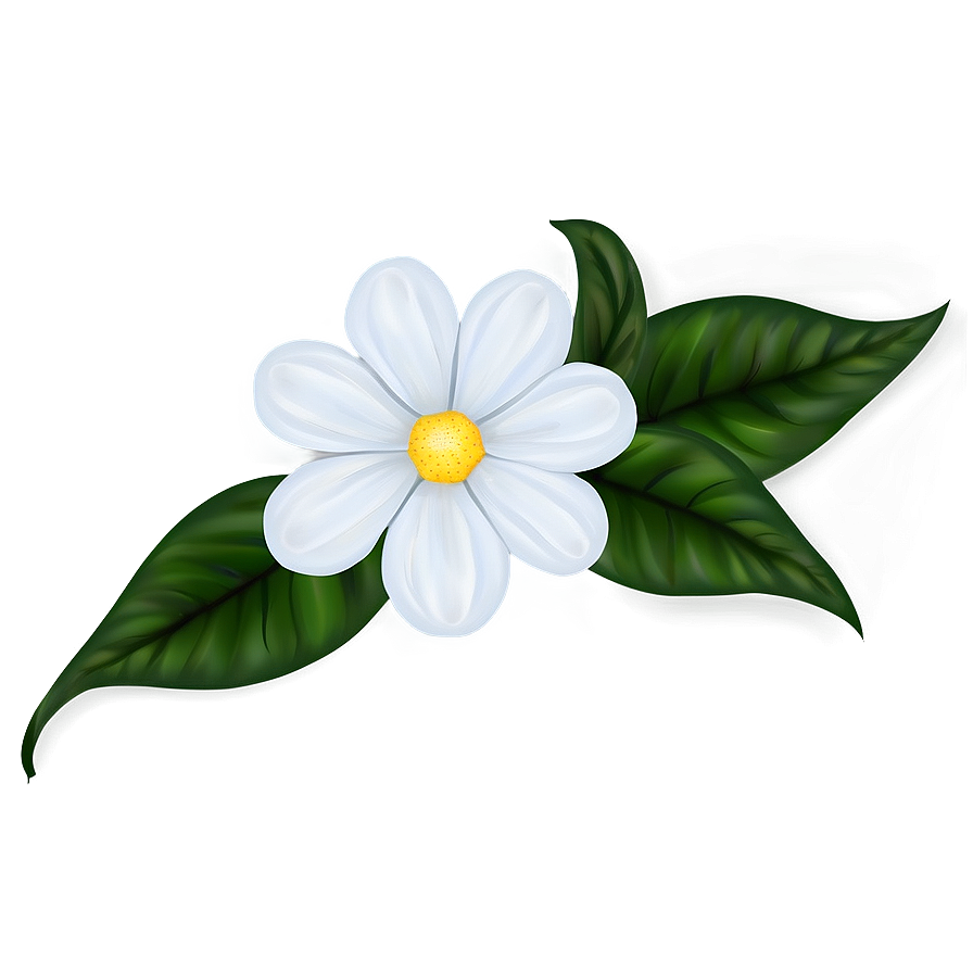 White Flower Design Png Cjd4 PNG Image