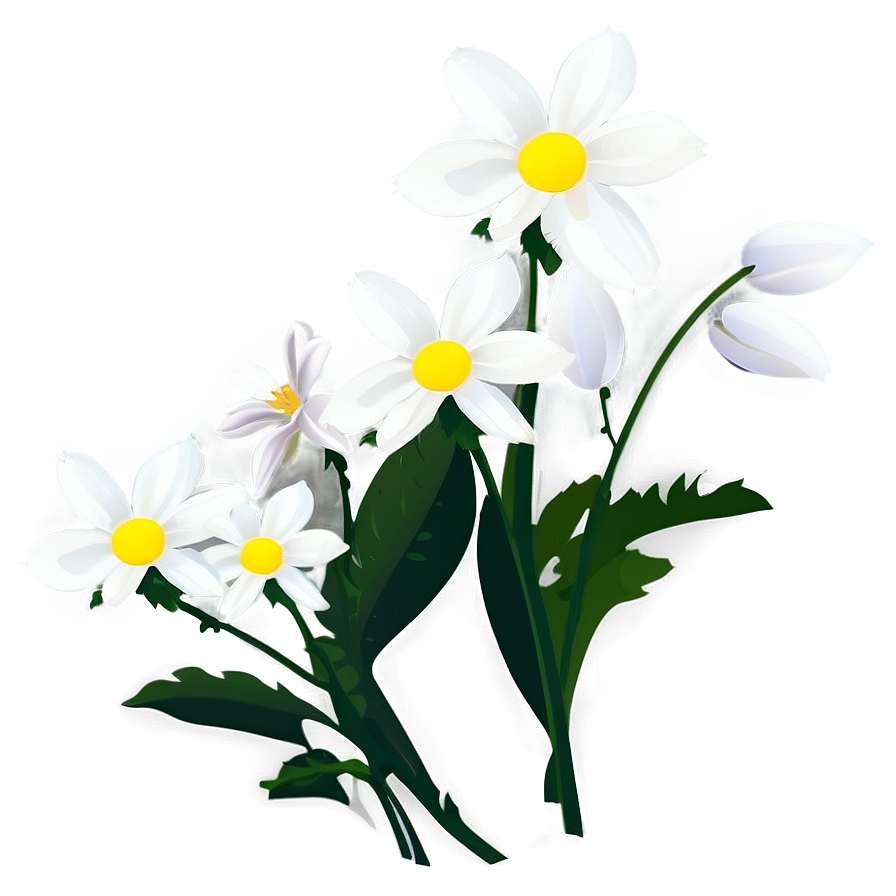 White Flower Silhouette Png Pvq3 PNG Image