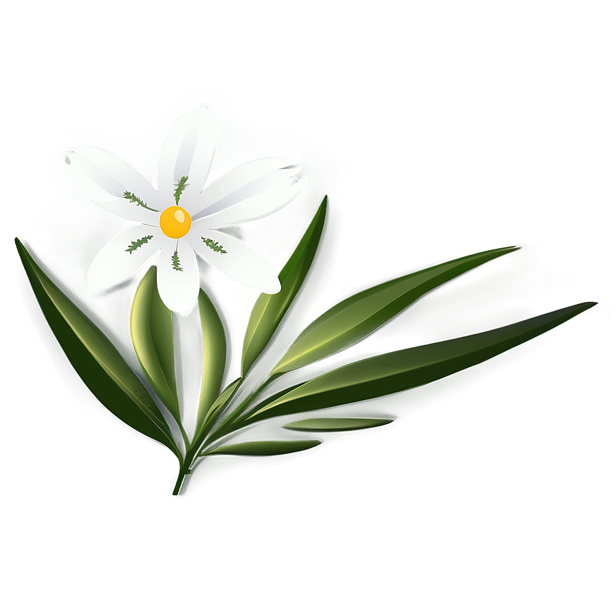 White Flower Symbol Png Dry PNG Image