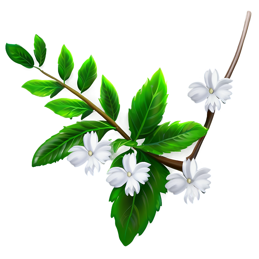 White Flower Theme Png 05242024 PNG Image