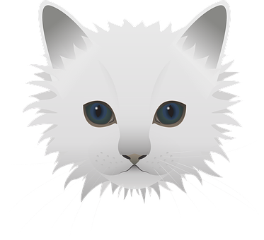 White Fluffy Cat Illustration PNG Image