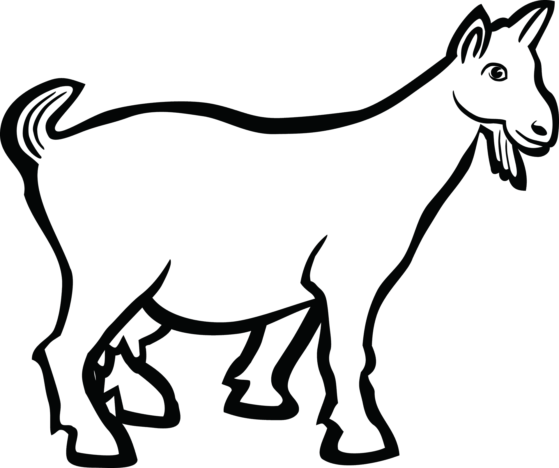 White Goat Illustration PNG Image