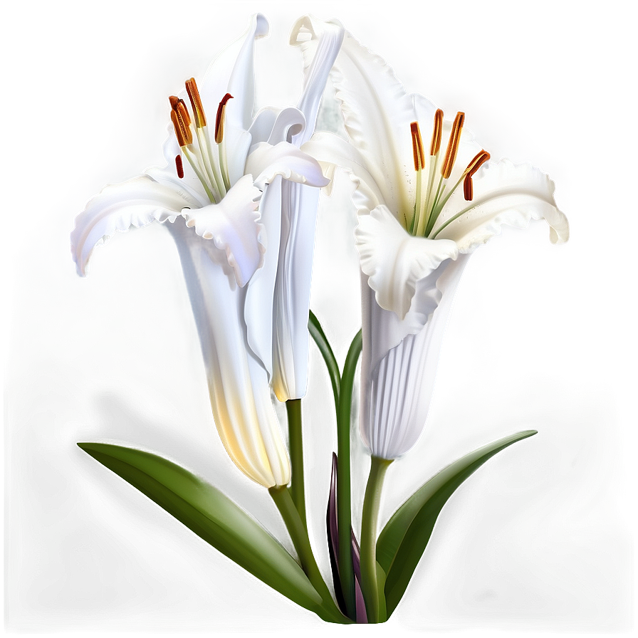 White Lily Flower Png Gjf PNG Image