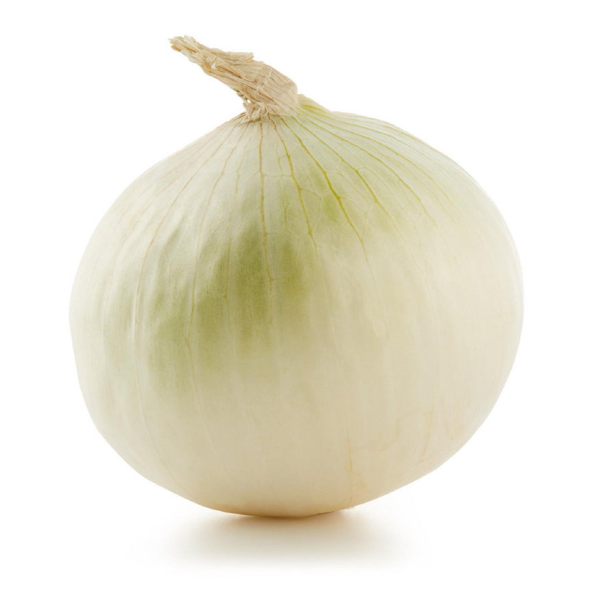 White Onion Isolated Background PNG Image