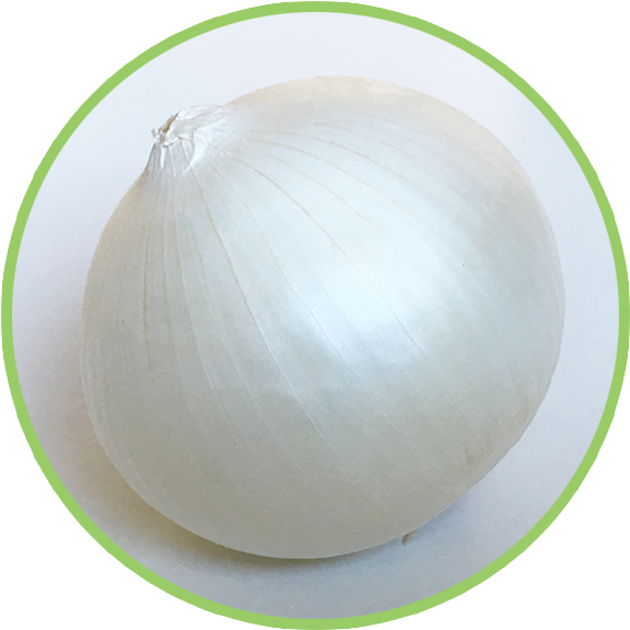 White Onion Single Item PNG Image