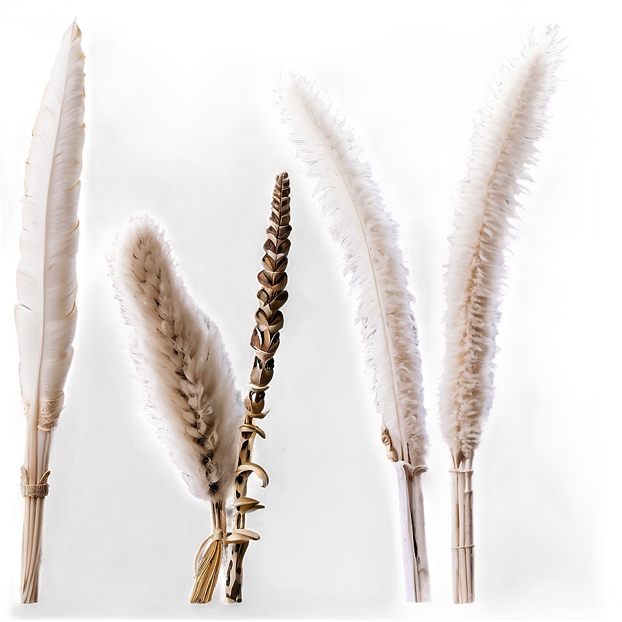 White Pampas Decor Png Biy PNG Image