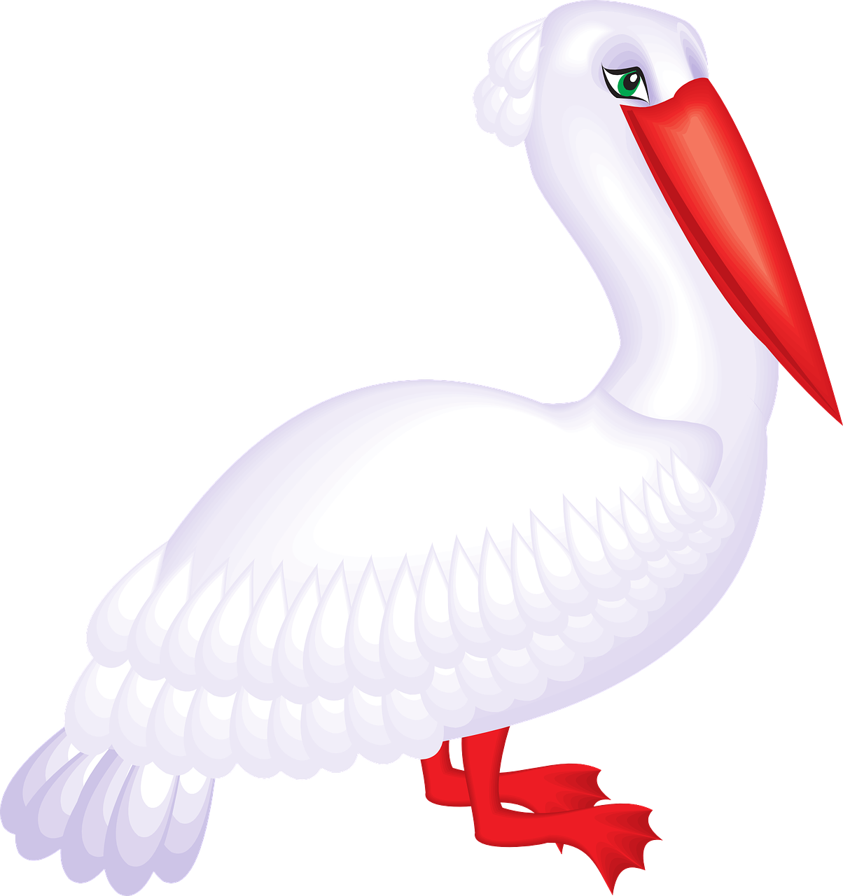 White Pelican Cartoon Illustration PNG Image