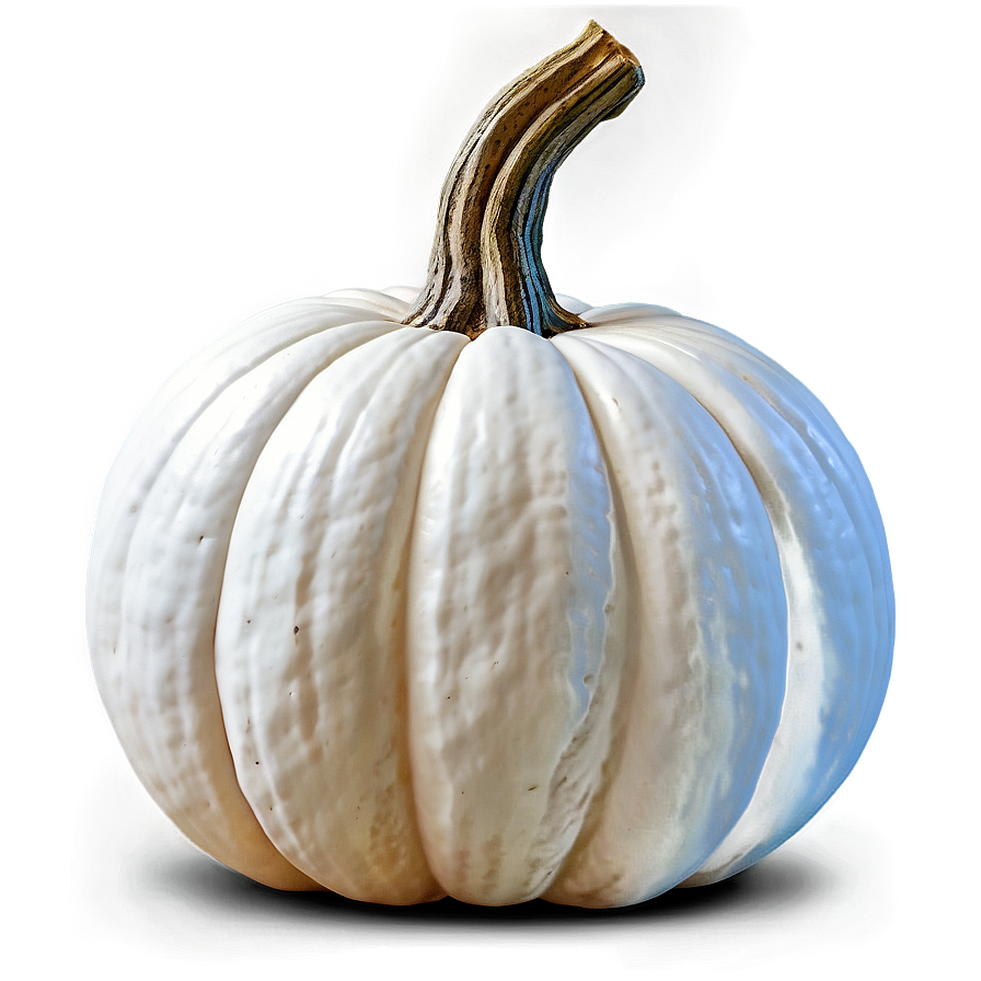 White Pumpkin Background Png 06212024 PNG Image