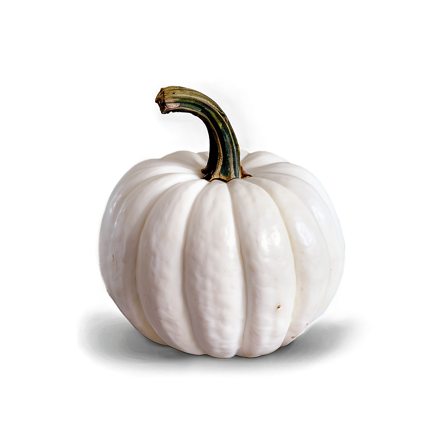 White Pumpkin Display Png Smk6 PNG Image