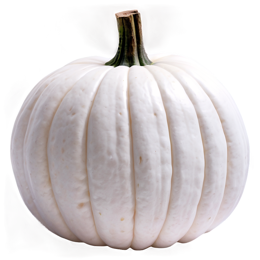 White Pumpkin For Fall Png Ilw5 PNG Image