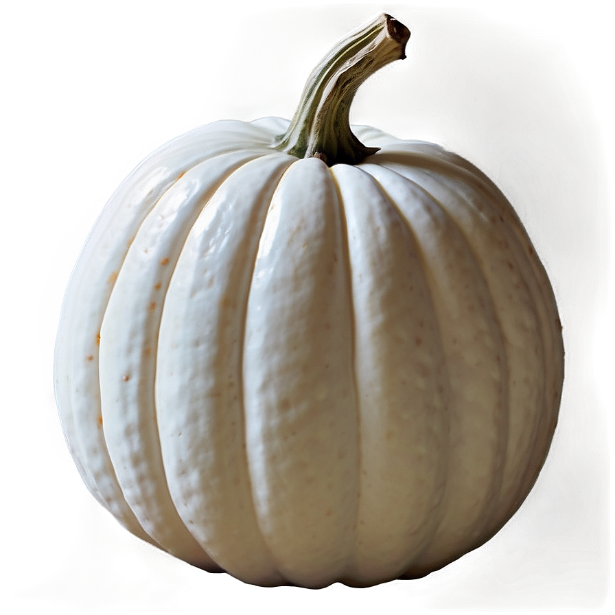 White Pumpkin For Thanksgiving Png Qnt20 PNG Image