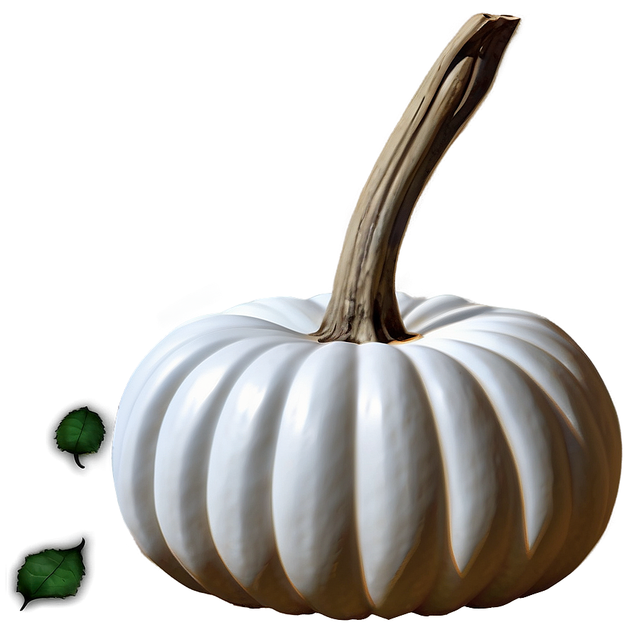 White Pumpkin Scene Png 06212024 PNG Image