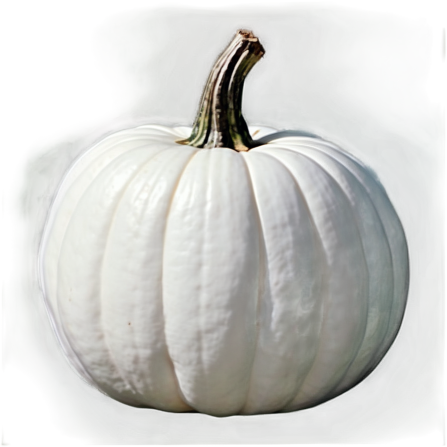 White Pumpkin Template Png Pia PNG Image