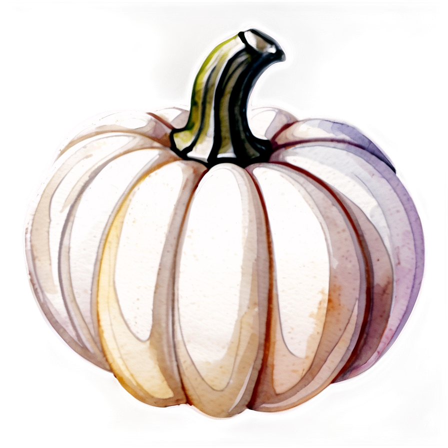 White Pumpkin Watercolor Png 06212024 PNG Image