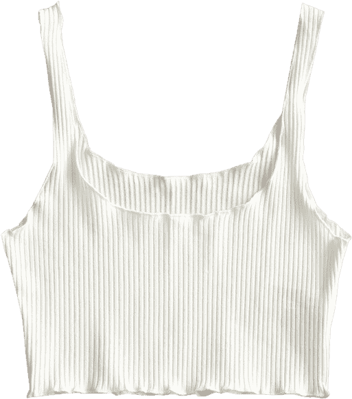 White Ribbed Crop Top PNG Image